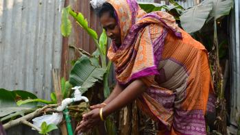 Femme, accès à l'eau potable, Dacca, Bangladesh, Eau et Vie ONG