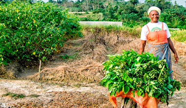 Agriculture et developpement rural