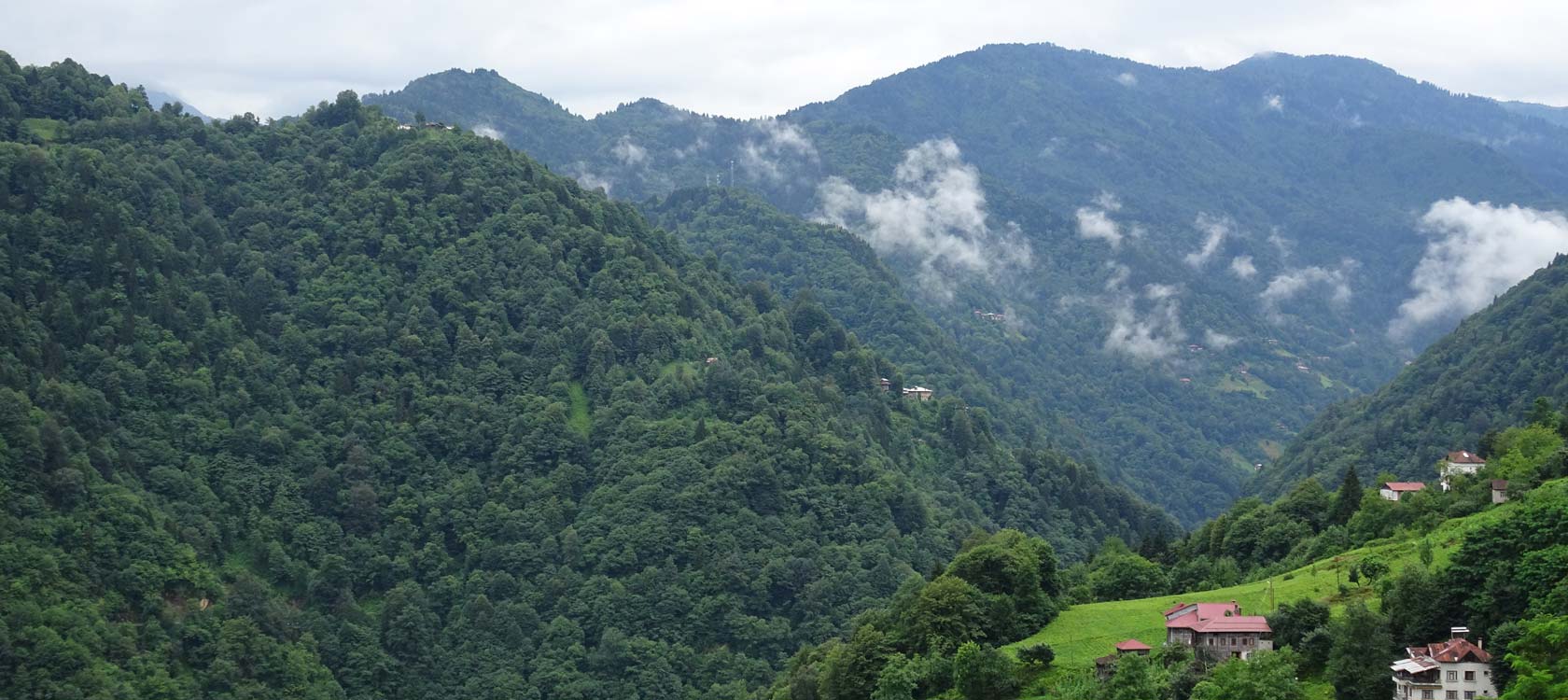 Préserver la forêt turque, projet AFD