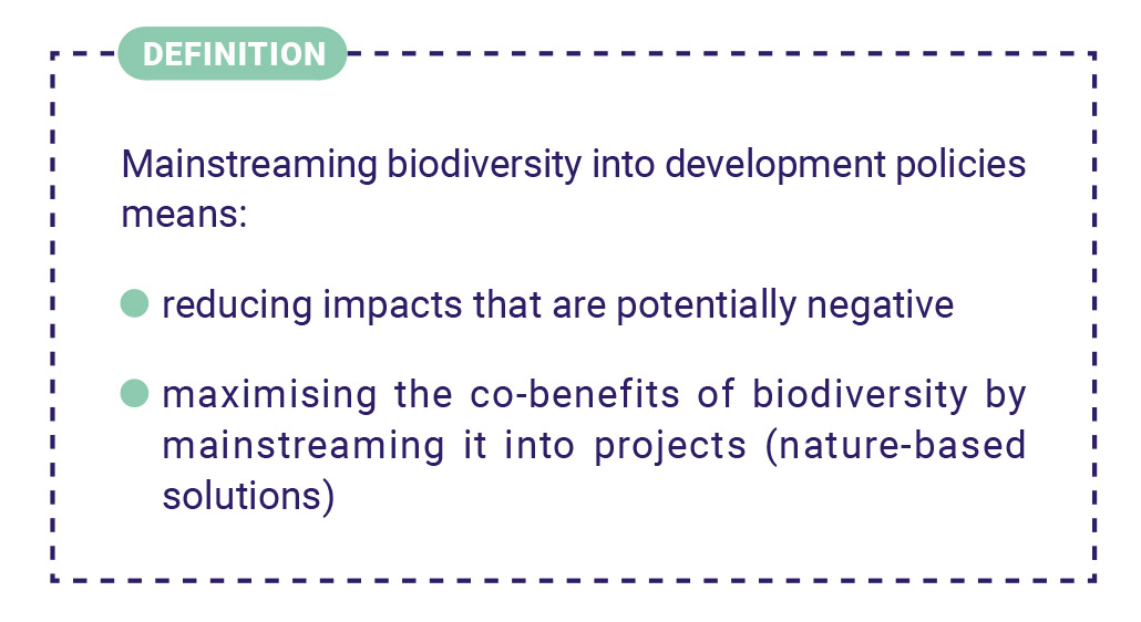 Mainstreaming biodiversity into development policies.jpg