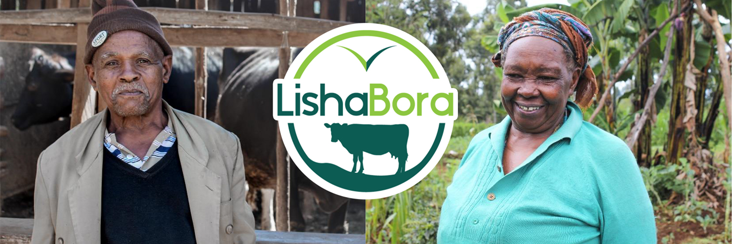 Digital Africa, LishaBora