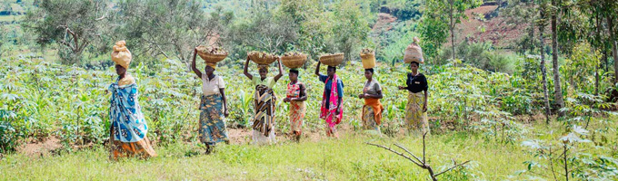 femmes, agriculture, Burundi