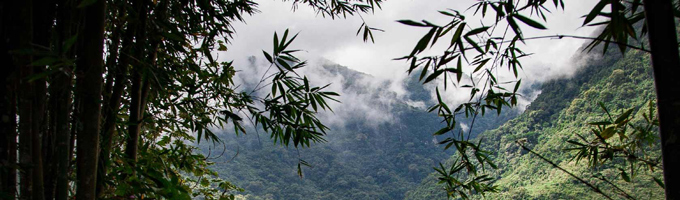 biodiversité, Félix Vigné/Imageo