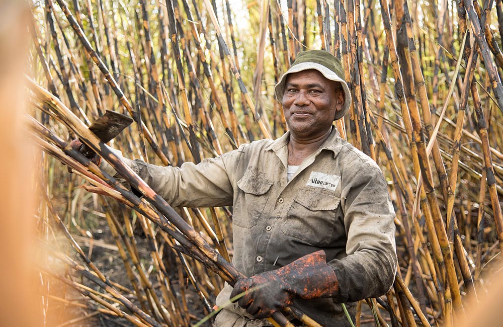 Maurice, agriculture