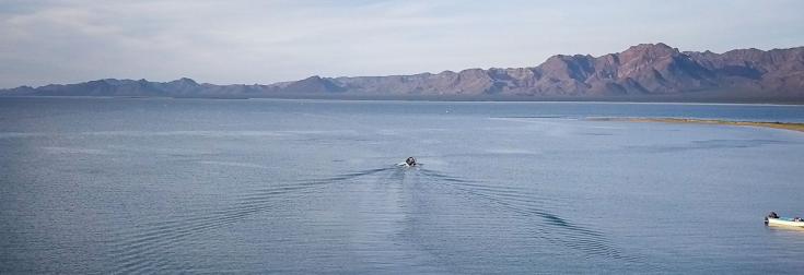 lac, biodiversité, Mexique