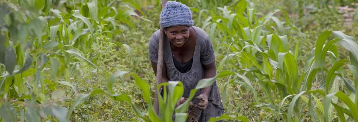 agricultrice dans la région Itasy