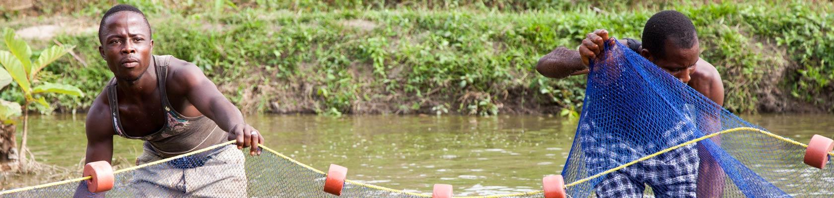 Adapt'Action, Guinée