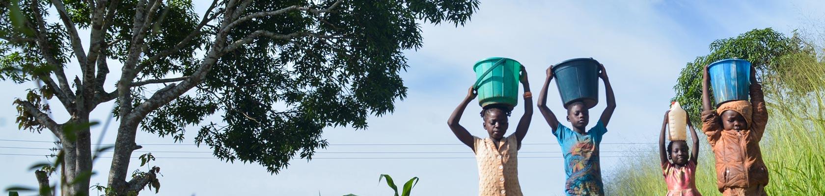 Adapt'Action, Cameroun