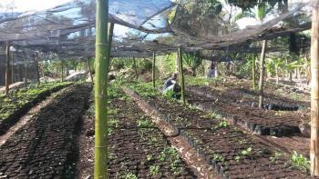 agriculture, microfinance, Haïti