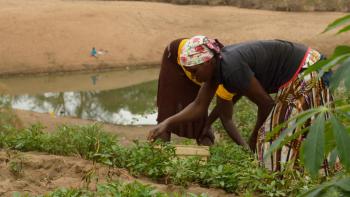 agriculture, parc national du Limpopo, Mozambique