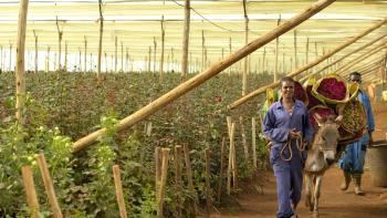 agriculture terres cultivables Ethiopie AFD