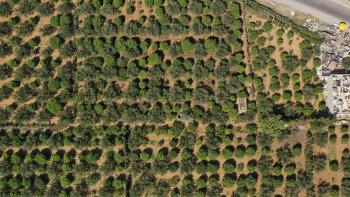 Tunisie champ agriculture adaptation changement climatique