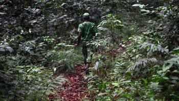 Gabon, poaching, forests