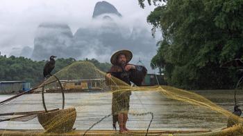 Pêcheur à Yangshuo (région du Guangxi)