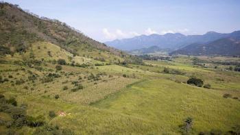 Le Mexique est l’un des plus riches pays de la planète en termes de biodiversité