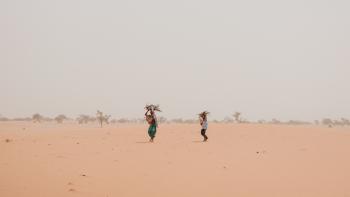 Mère avec son fils en train de ramasser du bois pour la préparation du repas, sur le chemin du retour vers Gouré, Niger