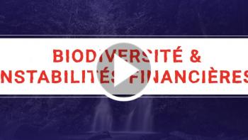Biodiversité et instabilité financière : Analyse en vidéo de Julien Calas