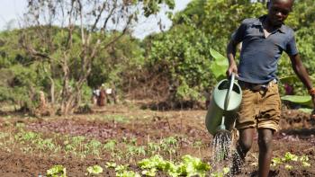 Agricultura
