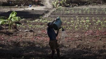 Travailleurs agricoles Bambari RCA