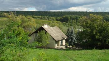 Forêt Moldavie