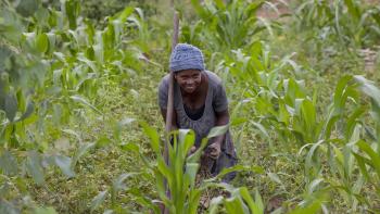 agricultrice dans la région Itasy