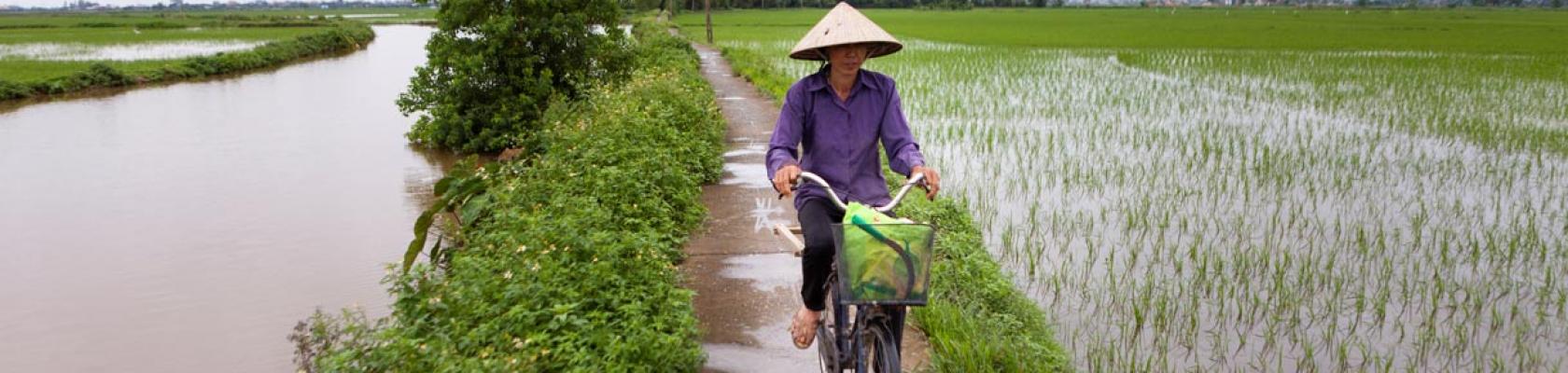 Bassin du fleuve Rouge, Vietnam