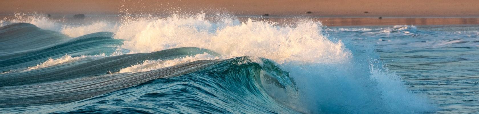 mer, vagues, océan, biodiversité