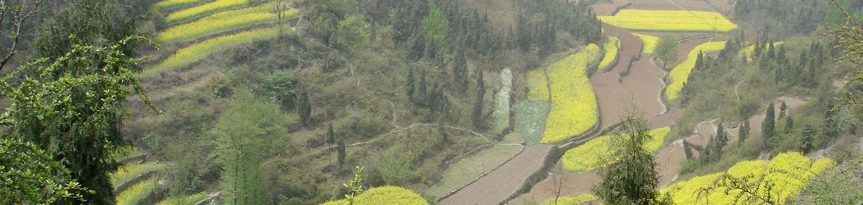 Nature, Chine