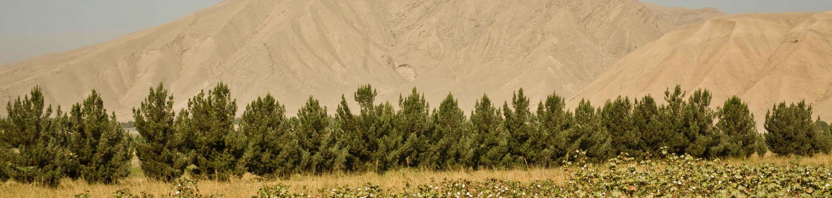 agriculture, Landscape, Afghanistan