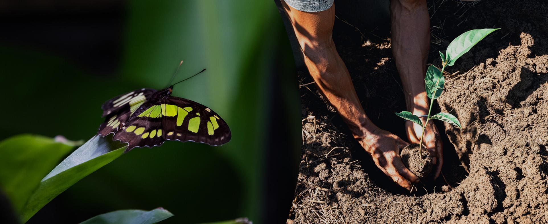 Biodiversité - Climat