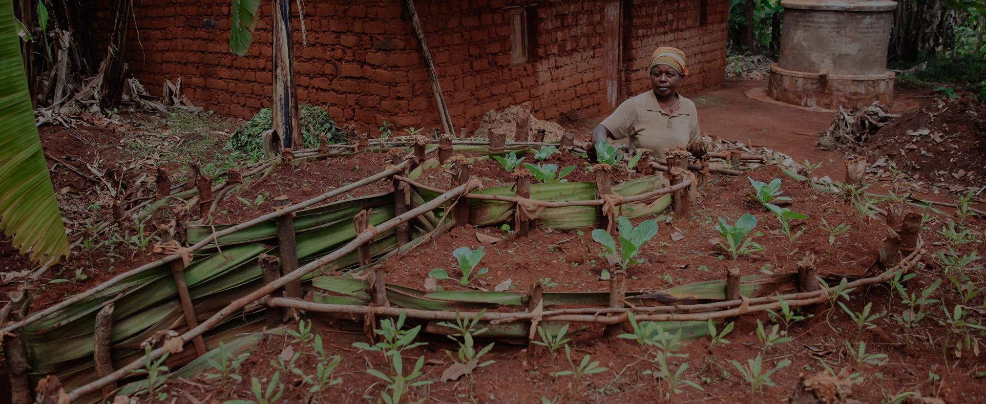 woman cultivating plants