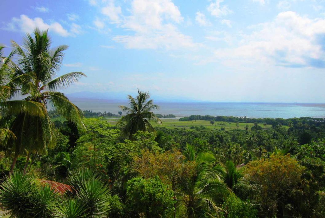 paysage sud d'Haïti, Cayes