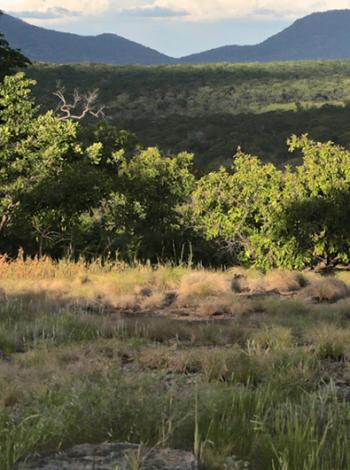 Mozambique, Niassa, biodiversité, paysage