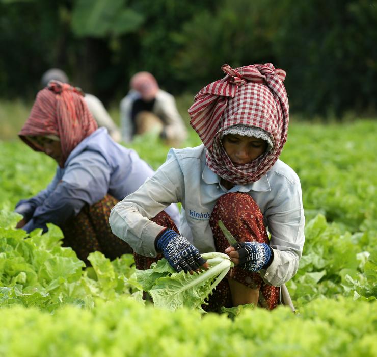 Cambodia, irrigation, farmers, women, Sokunthea