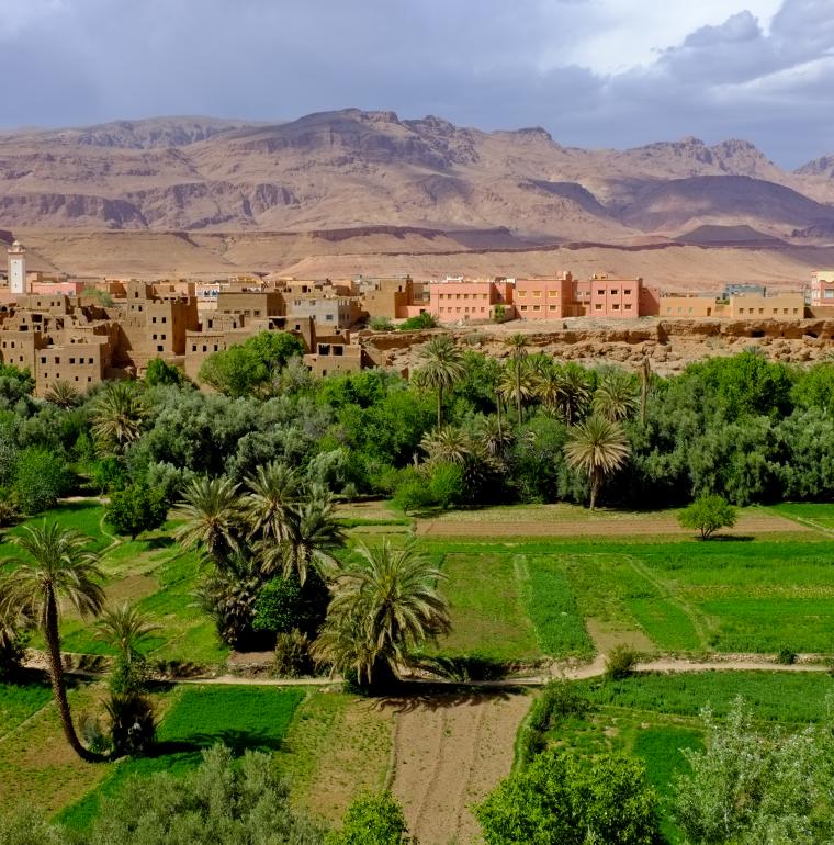 Morocco, field, agriculture, landscape