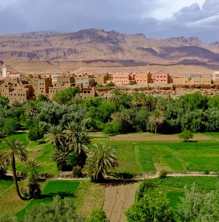 Maroc champ agriculture paysage