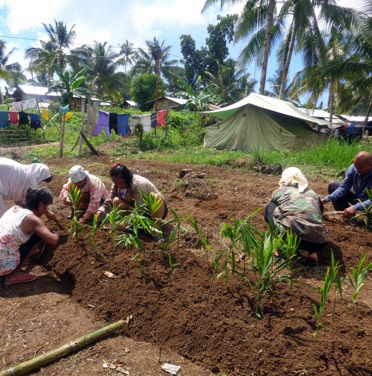 Philippines agriculture relance économique