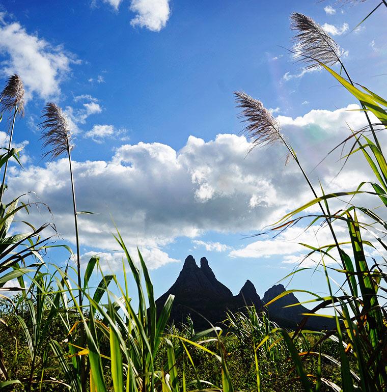 Paysage, biodiversité, Maurice