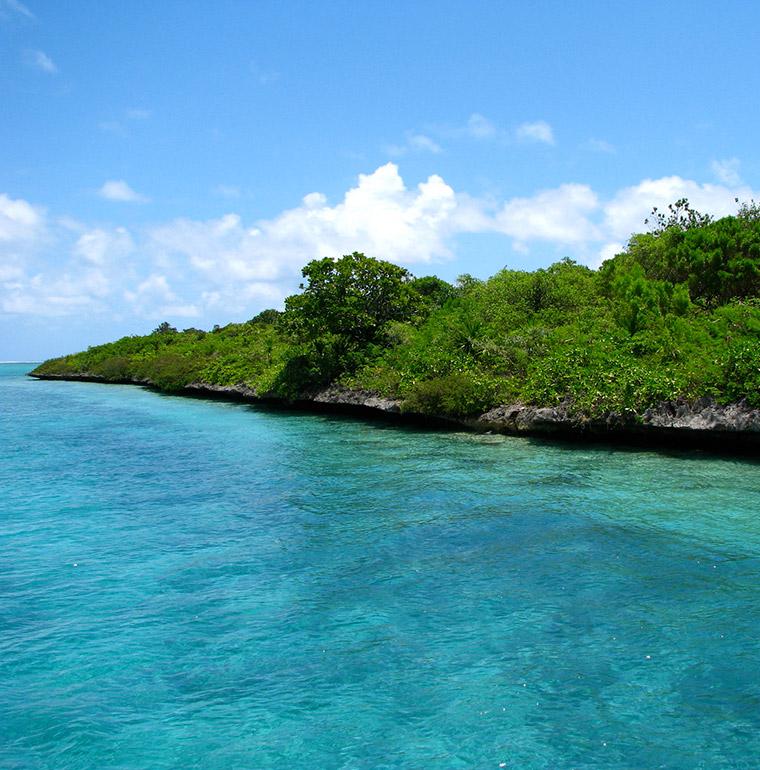 L'île aux Aigrettes, Maurice