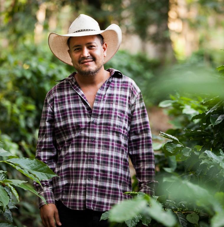 agricultor, México, café, Agricultura y desarrollo rural