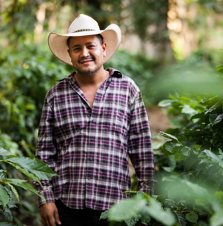 agriculteur, Mexique, café, agriculture et développement rural