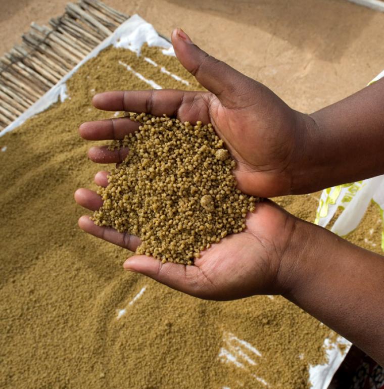 food security, Niger