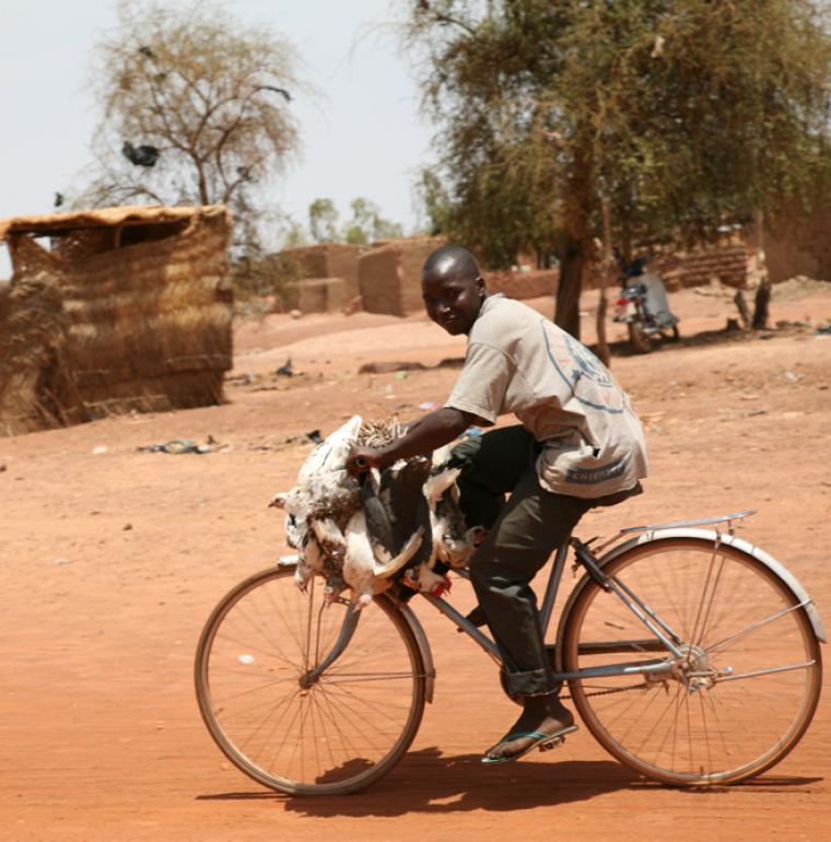 Supporting the highest priority areas, Burkina Faso