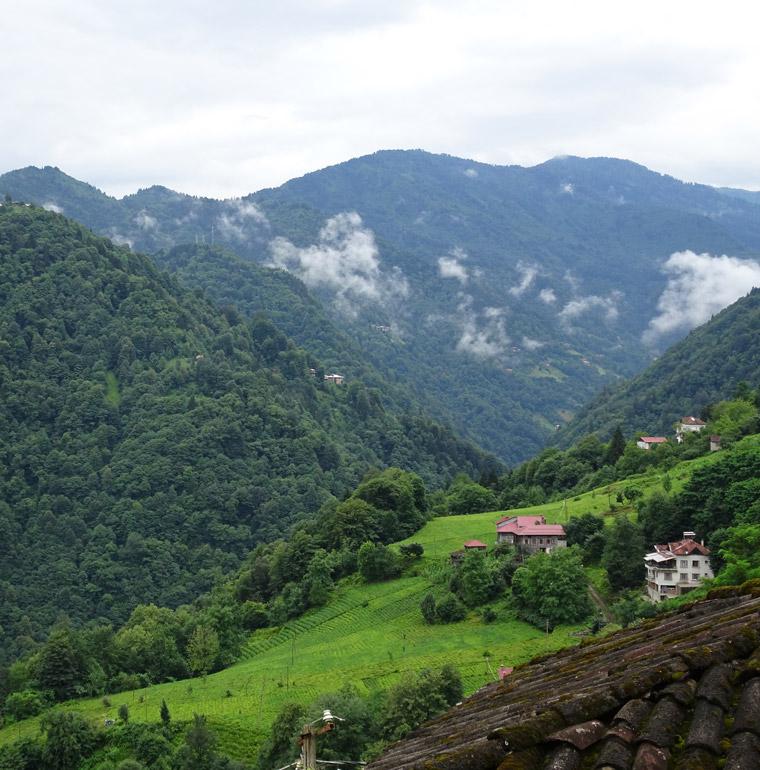 forêt du nord-est de la Turquie, biodiversité