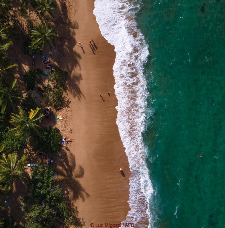 Préserver la biodiversité, Martinique, AFD