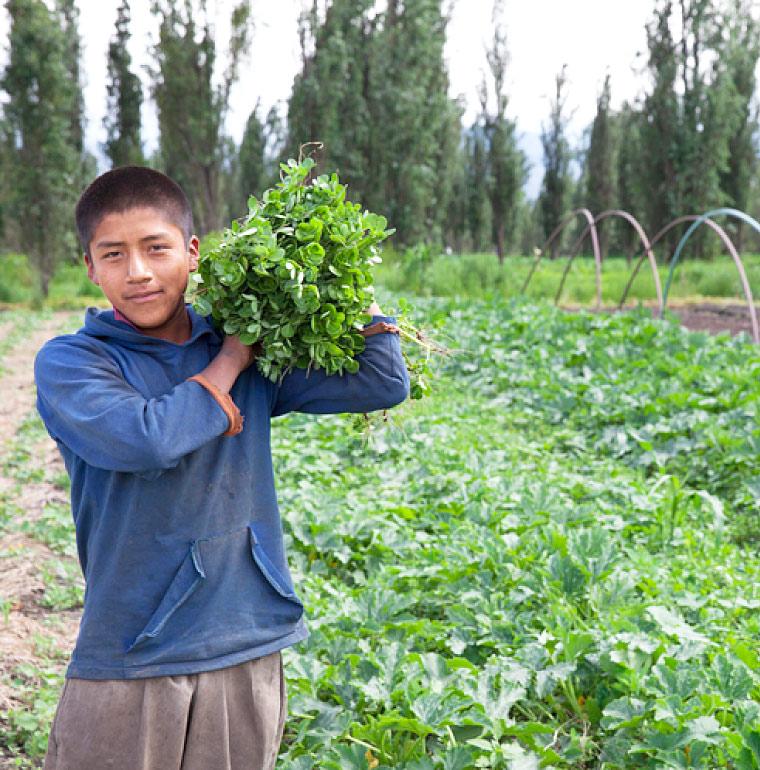 Young farmer in Xochimilco, Mexico