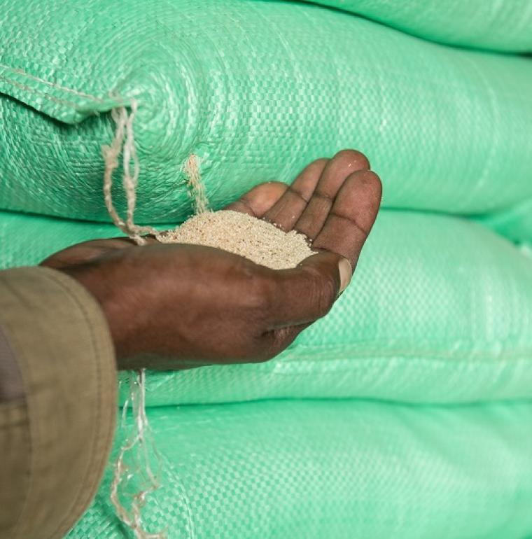 paix résilience ethiopie afd 
