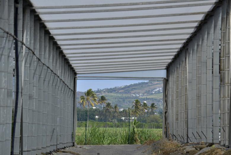 Akuo Energy, énergie renouvelable, La Réunion