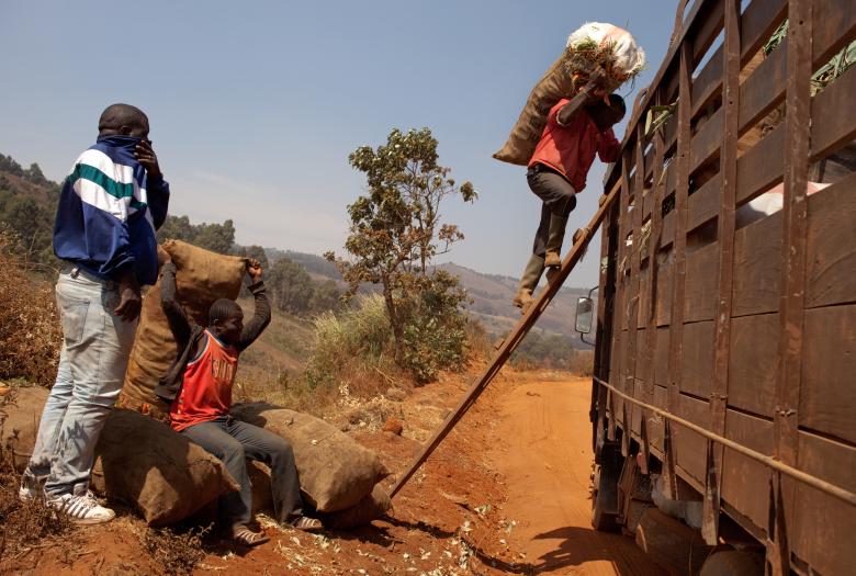 Réduire la pauvreté et les conflits liés aux ressources dans le nord du Cameroun