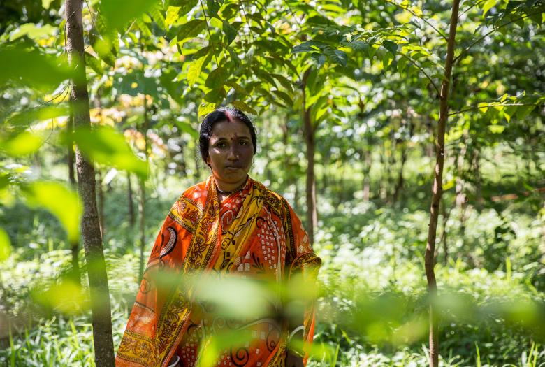 Femme, Assam, nature, biodiversité, Inde